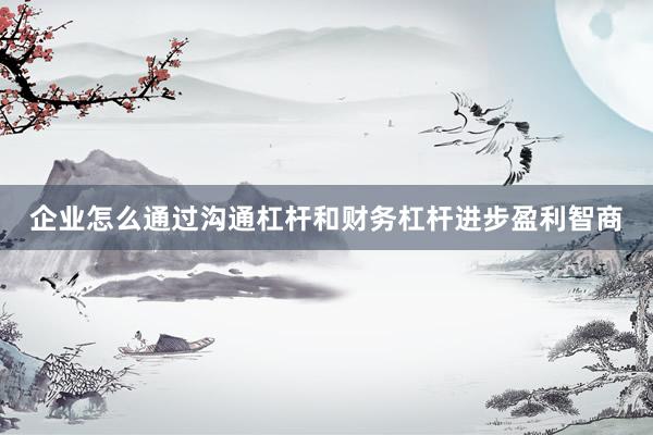 企业怎么通过沟通杠杆和财务杠杆进步盈利智商