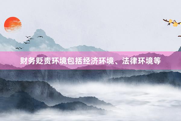 财务贬责环境包括经济环境、法律环境等