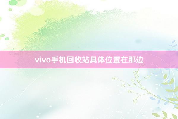 vivo手机回收站具体位置在那边