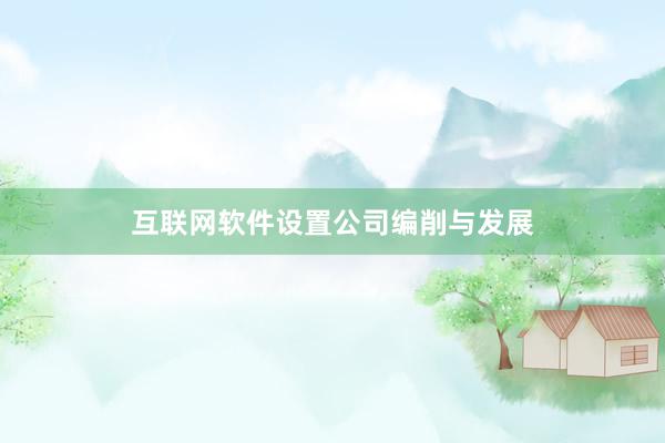 互联网软件设置公司编削与发展