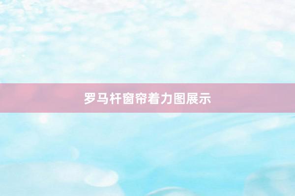罗马杆窗帘着力图展示